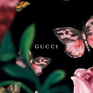 Meet your Posher, Solomon